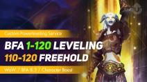 WoW BFA Powerleveling (1-120 / 110-120 / Freehold)