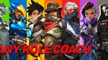 ANY ROLE COACH