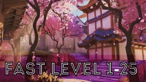 FAST LEVEL UP 1-25