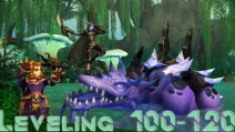 LEVELING 100-120