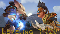 LEVELING 1-120