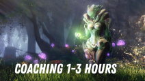 Coaching 1-3 hours