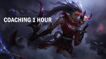 1 hour coaching