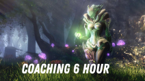 Coaching 6 Hours
