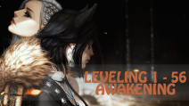 1 - 56 leveling