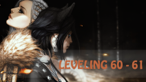 60 - 61 leveling