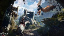 The Witcher 3 Wild Hunt